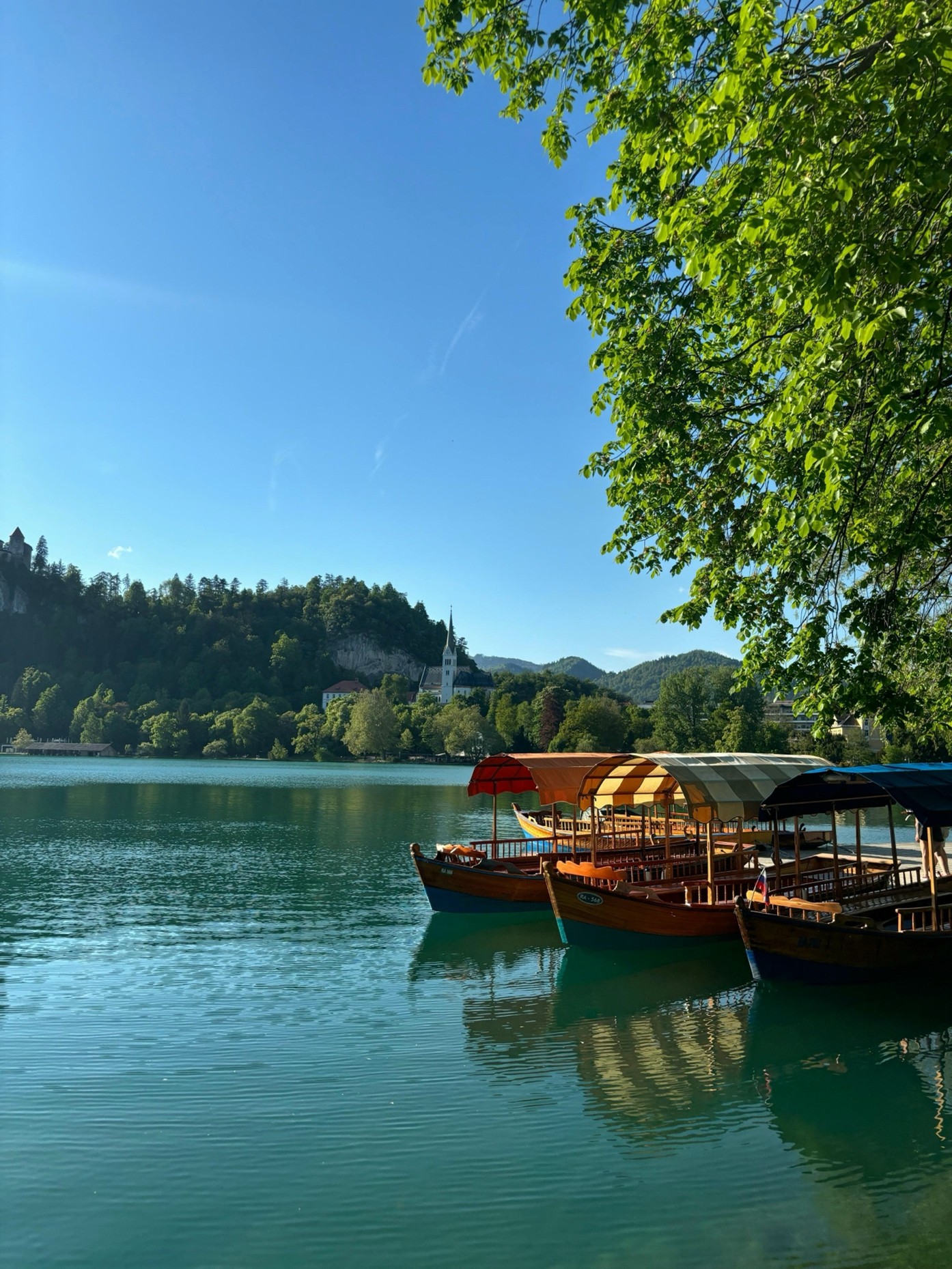 Αβρονιδάκη - Μάριμπορ