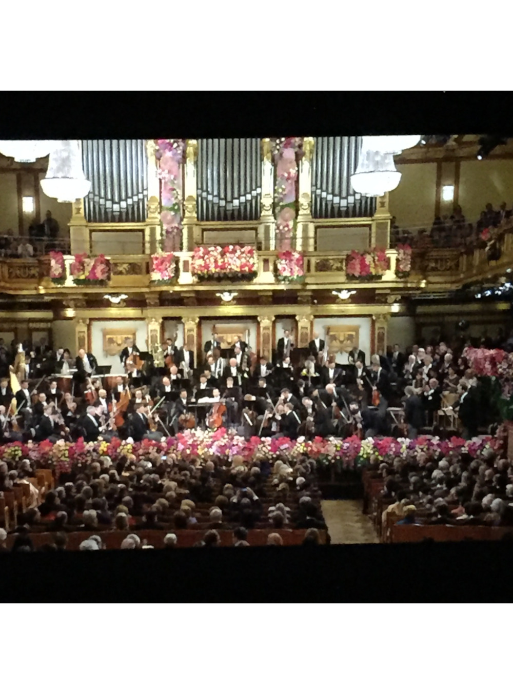 Πρωτοχρονιά Σταύρος Νιάρχος