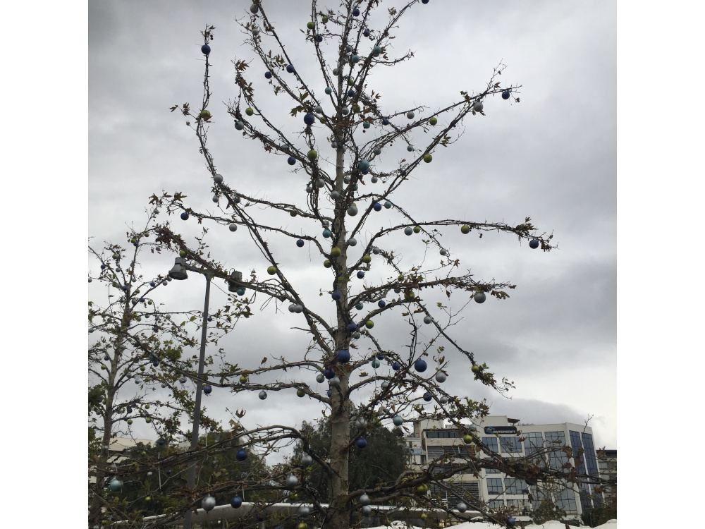 Πρωτοχρονιά Σταύρος Νιάρχος