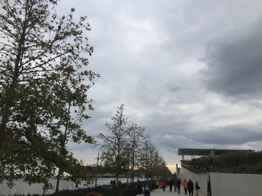 Πρωτοχρονιά Σταύρος Νιάρχος